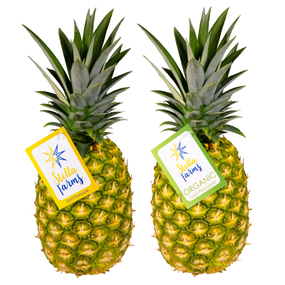 Stella Farms' Gold Pineapple and Organic Gold Pineapple