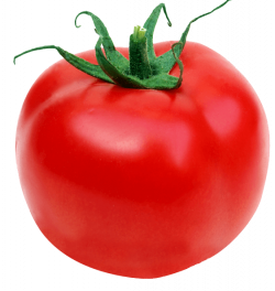 Tomato