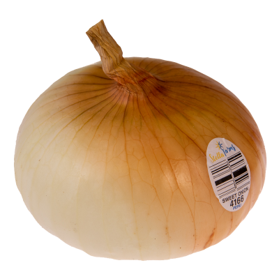 Stella Farms Sweet Onion