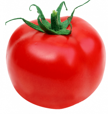 Stella Farms' Gold Pineapple and Organic Gold Pineapple