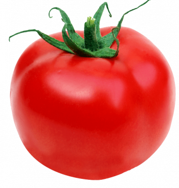 Stella Farms' Gold Pineapple and Organic Gold Pineapple